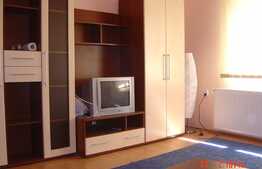 Apartament de 2 camere, 44 mp, curte privata, zona Hotel Premier 