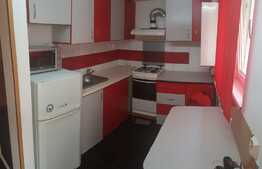 Apartament de 2 camere, 44 mp, curte privata, zona Hotel Premier 