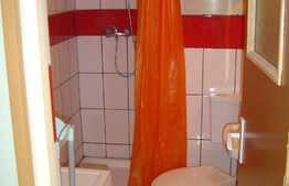 Apartament de 2 camere, 44 mp, curte privata, zona Hotel Premier 