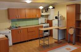 Apartament de 2 camere, parcare, 55 mp, zona Hotel Premier 