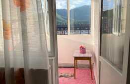 Garsoniera spatioasa, luminoasa, et 7/9, cartier Noua