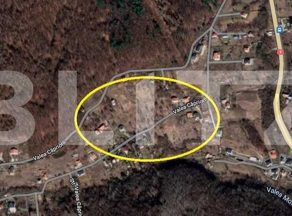 Teren de vânzare Feleacu - 88656TV | BLITZ Cluj-Napoca | Poza1