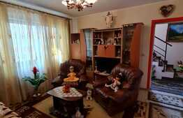 Casa individuala cu 4 camere, 121 mp, garaj, zona Muzeul Apei