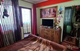 Casa individuala cu 4 camere, 121 mp, garaj, zona Muzeul Apei