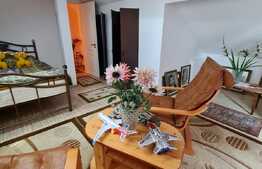 Casa individuala cu 4 camere, 121 mp, garaj, zona Muzeul Apei