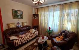 Casa individuala cu 4 camere, 121 mp, garaj, zona Muzeul Apei