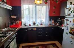 Casa individuala cu 4 camere, 121 mp, garaj, zona Muzeul Apei