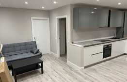 Apartament 3 camere, 57 mp, terasa, garaj, Traian Vuia