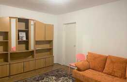 Apartament 2 camere, parter, zona Grivitei