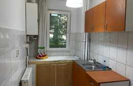 Apartament 2 camere, parter, zona Grivitei