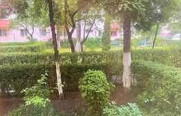 Apartament 2 camere, parter, zona Grivitei