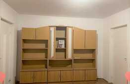 Apartament 2 camere, parter, zona Grivitei