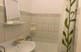 Apartament 2 camere, parter, zona Grivitei