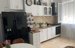 Apartament cu 1 cameră, 44 mp, etaj intermediar, Gruia 