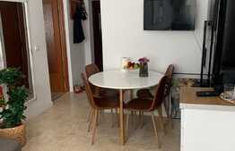 Apartament cu 1 cameră, 44 mp, etaj intermediar, Gruia 