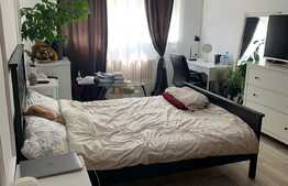 Apartament cu 1 cameră, 44 mp, etaj intermediar, Gruia 