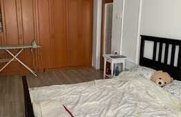 Apartament cu 1 cameră, 44 mp, etaj intermediar, Gruia 