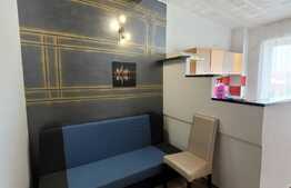 Garsonieră recent renovată, 21 mp, orientare sudică, Dâmbul Rotund