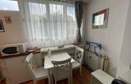 Garsoniera, 30 mp, pet friendly, zona Mc Donalds