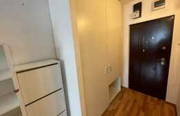 Garsoniera, 30 mp, pet friendly, zona Mc Donalds