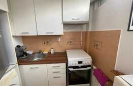 Garsoniera, 30 mp, pet friendly, zona Mc Donalds