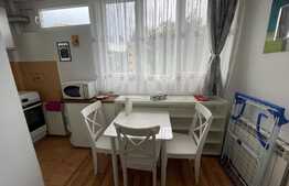 Garsoniera, 30 mp, pet friendly, zona Mc Donalds