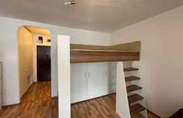 Garsoniera, 30 mp, pet friendly, zona Mc Donalds