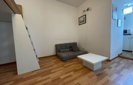 Garsoniera, 30 mp, pet friendly, zona Mc Donalds