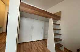 Garsoniera, 30 mp, pet friendly, zona Mc Donalds