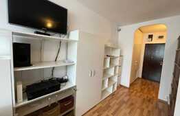 Garsoniera, 30 mp, pet friendly, zona Mc Donalds