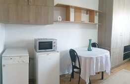 Garsoniera de 23 mp, cartier Marasti