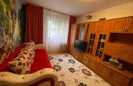 Apartament 2 camere, semidecomandat, zona Casa Piratilor