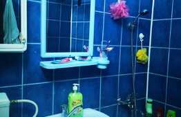 Apartament de 2 camere, 42 mp, etaj intermediar, zona Noua 