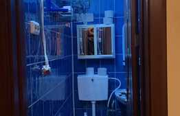 Apartament de 2 camere, 42 mp, etaj intermediar, zona Noua 