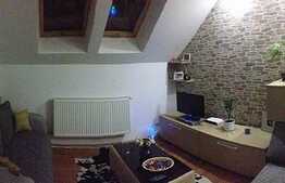 Vanzare apartament 3 camere, 70 mp utili pe 2 niveluri, zona Albac, mobilat