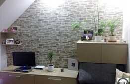 Vanzare apartament 3 camere, 70 mp utili pe 2 niveluri, zona Albac, mobilat