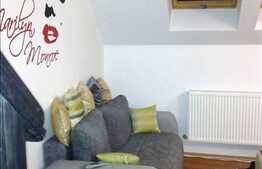 Vanzare apartament 3 camere, 70 mp utili pe 2 niveluri, zona Albac, mobilat