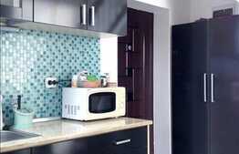 Vanzare apartament 3 camere, 70 mp utili pe 2 niveluri, zona Albac, mobilat