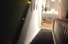 Vanzare apartament 3 camere, 70 mp utili pe 2 niveluri, zona Albac, mobilat