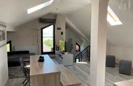 Apartament 2 camere, 55 mp, lux, zona strazii Marginasa