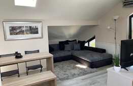 Apartament 2 camere, 55 mp, lux, zona strazii Marginasa