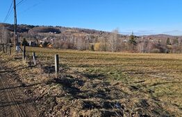 Teren intravilan de vanzare 8200 mp, parcelabil, la RASCA