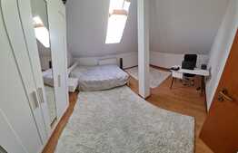 Oportunitate! Apartament in vila, 4 camere, 107 mp, zona Andrei Muresanu 