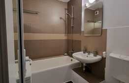 Garsonieră confort 1, 33 mp, zona străzii Dâmboviței, Expo Transilvania