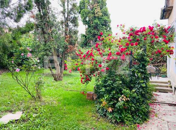 Casa de închiriat 4 camere Gruia - 88873CI | BLITZ Cluj-Napoca | Poza5