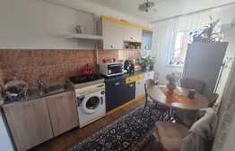 Garsoniera de 27 mp, etaj intermediar, zona Auchan Iris