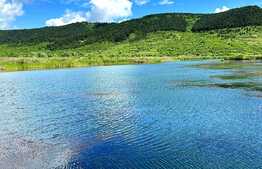 Teren extravilan 6,5Ha ,cu lac piscicol de 4,5Ha ,in Bontida