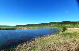 Teren extravilan 6,5Ha ,cu lac piscicol de 4,5Ha ,in Bontida