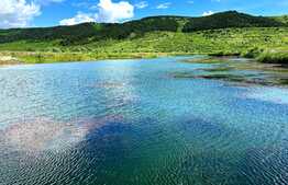 Teren extravilan 6,5Ha ,cu lac piscicol de 4,5Ha ,in Bontida