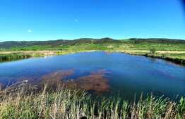 Teren extravilan 6,5Ha ,cu lac piscicol de 4,5Ha ,in Bontida